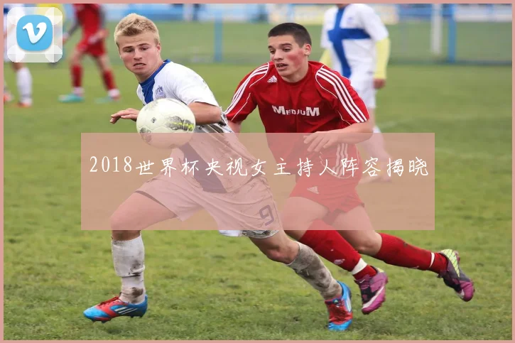 2018世界杯央视女主持人阵容揭晓