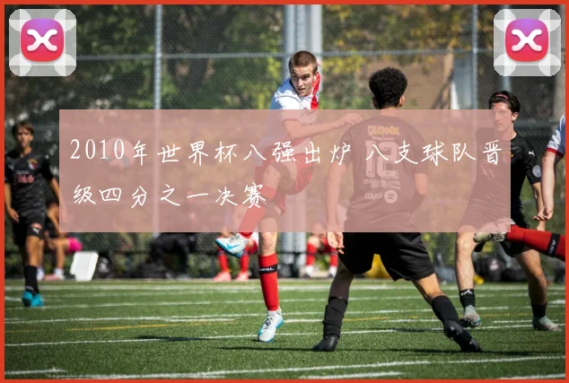 2010年世界杯八强出炉 八支球队晋级四分之一决赛