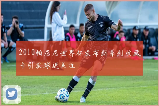 2010帕尼尼世界杯发布新系列收藏卡引发球迷关注