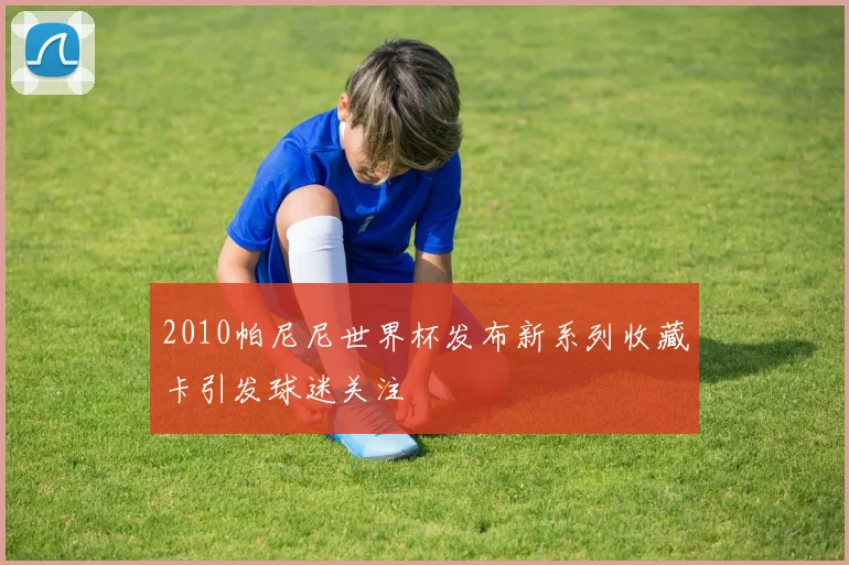 2010帕尼尼世界杯发布新系列收藏卡引发球迷关注