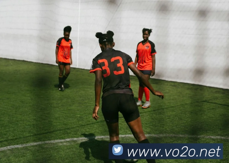 App Interface Preview